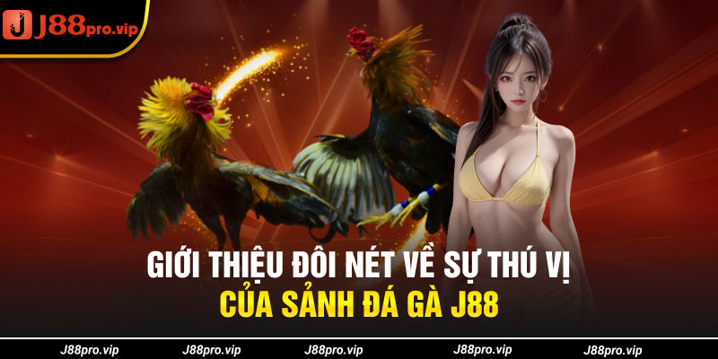 Giới thiệu đôi nét về sự thú vị của sảnh đá gà J88