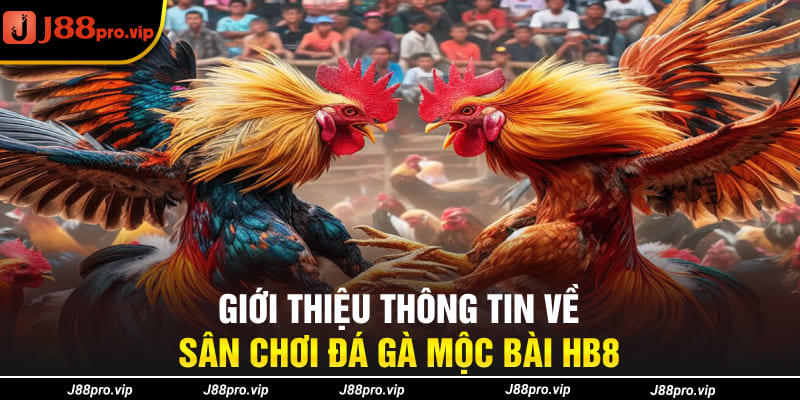 Giới thiệu thông tin về sân chơi đá gà Mộc Bài J88