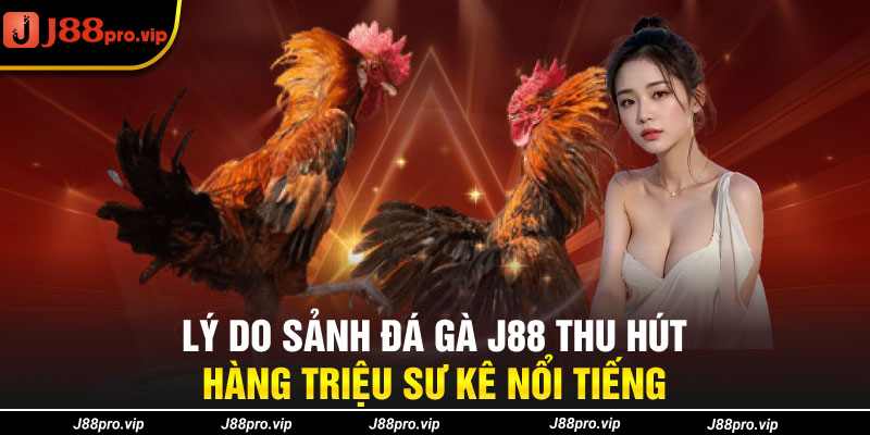 Lý do sảnh đá gà J88 thu hút hàng triệu sư kê nổi tiếng