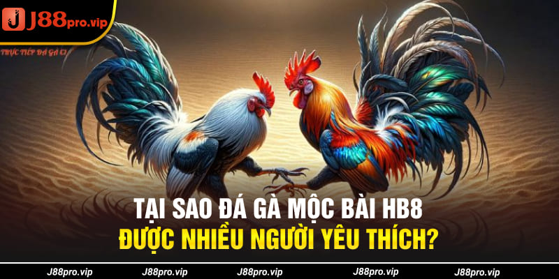 Tại sao đá gà Mộc Bài J88 được nhiều người yêu thích?